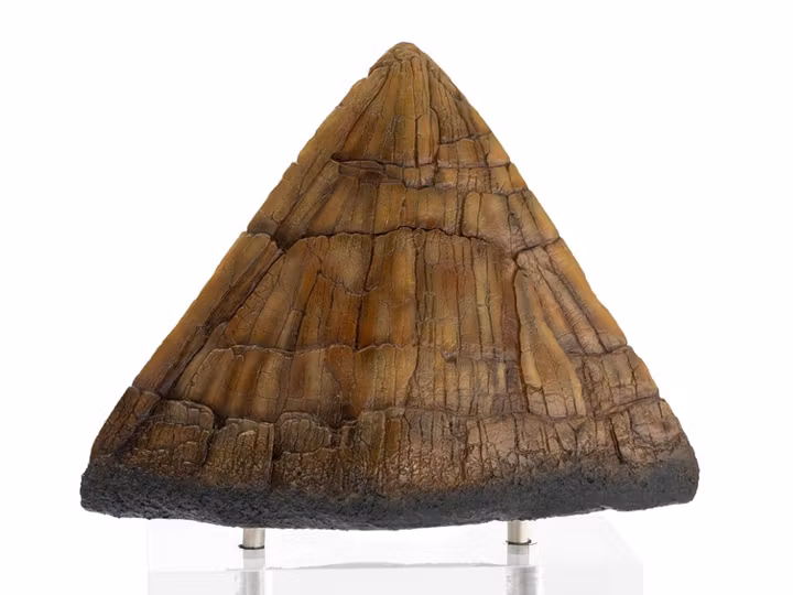 Jurassic Park Statue Triceratops Spike Prop (Reproduction)