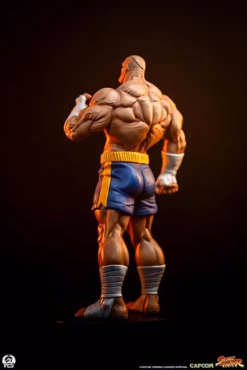 Street Fighter Street Jam Sagat & Juli 1/10 Scale Statue Set