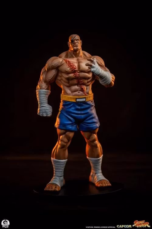 Street Fighter Street Jam Sagat & Juli 1/10 Scale Statue Set