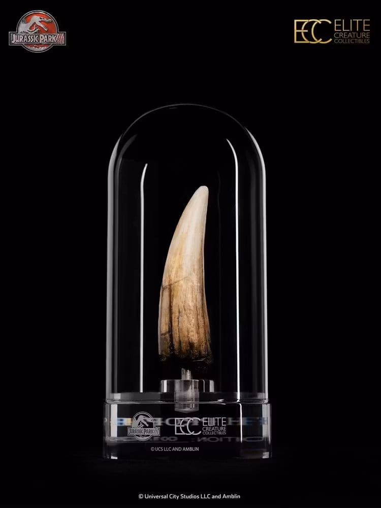 Jurassic Park III Prop Replica 1/1 Spinosaurus Tooth