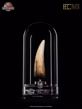 Jurassic Park III Prop Replica 1/1 Spinosaurus Tooth