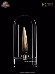 Jurassic Park III Prop Replica 1/1 Spinosaurus Tooth