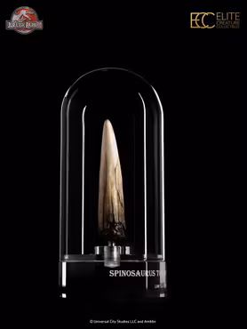 Jurassic Park III Prop Replica 1/1 Spinosaurus Tooth