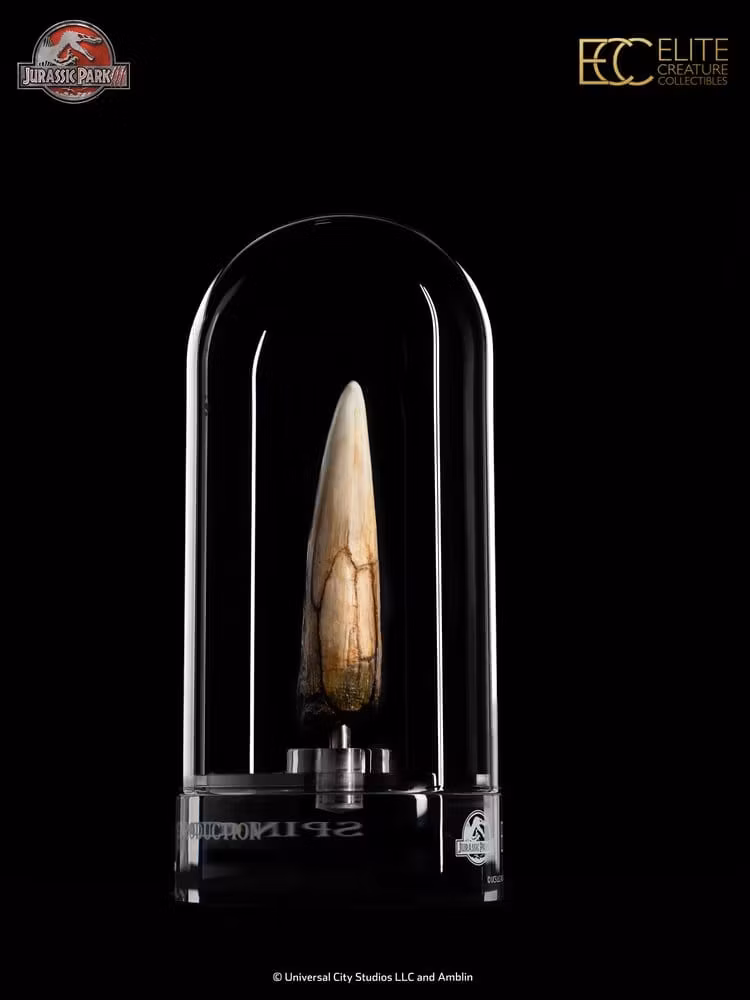 Jurassic Park III Prop Replica 1/1 Spinosaurus Tooth