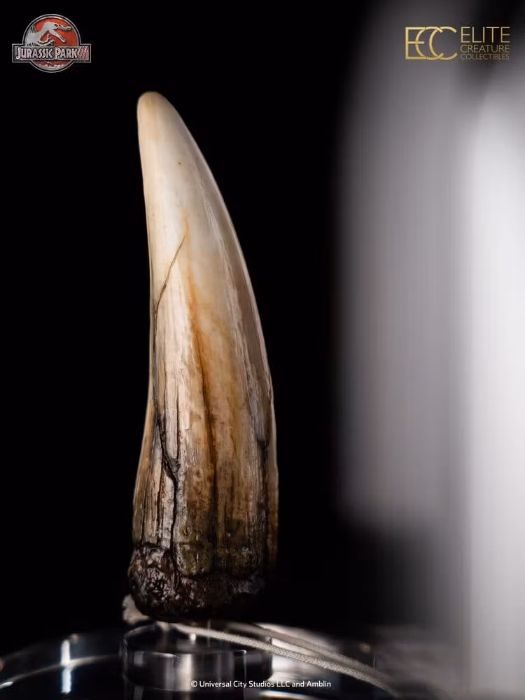 Jurassic Park III Prop Replica 1/1 Spinosaurus Tooth