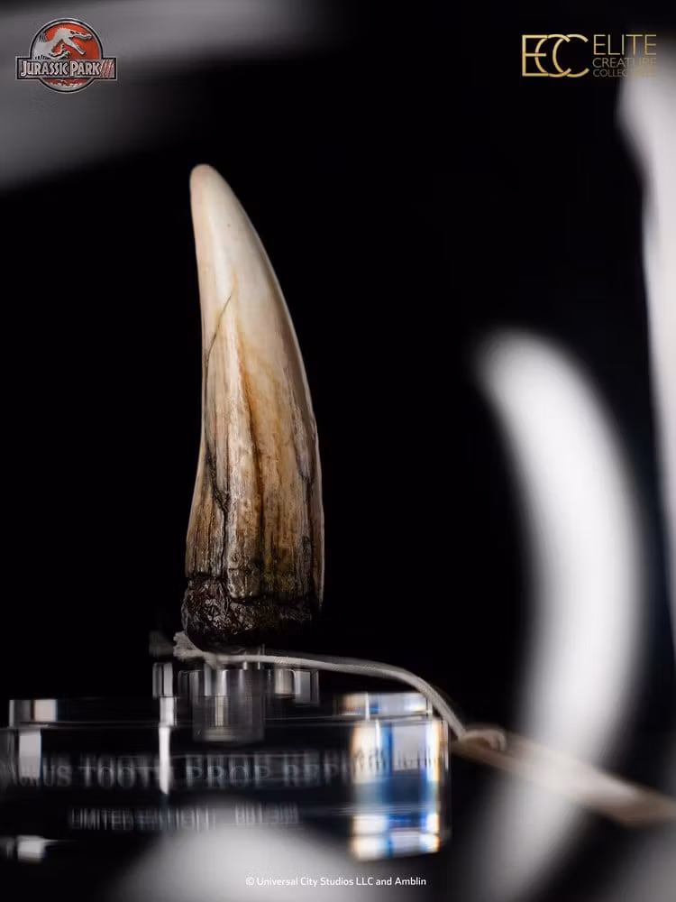 Jurassic Park III Prop Replica 1/1 Spinosaurus Tooth