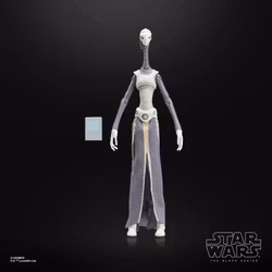 Star Wars: The Black Series Taun We (Attack of the Clones) Action Figure