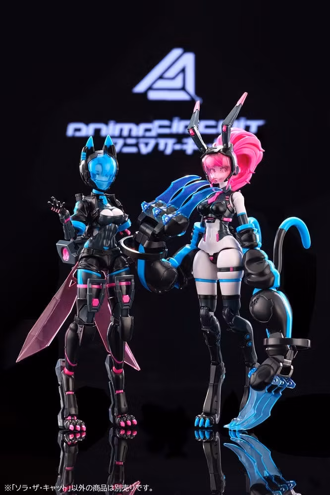 Anima Circuit Sora the Cat SP 1/12 Scale Model Kit