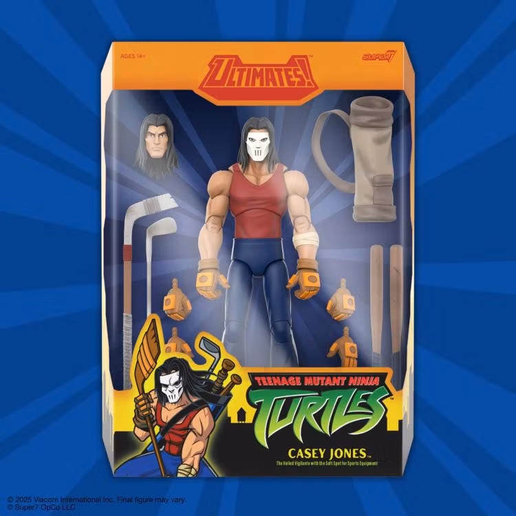 Teenage Mutant Ninja Turtles ULTIMATES! Casey Jones (2003 Animated Series) Action Figure