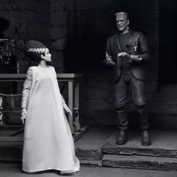 Universal Monsters The Bride of Frankenstein 90th Anniversary The Monster and His Mate Action Figure Two-Pack