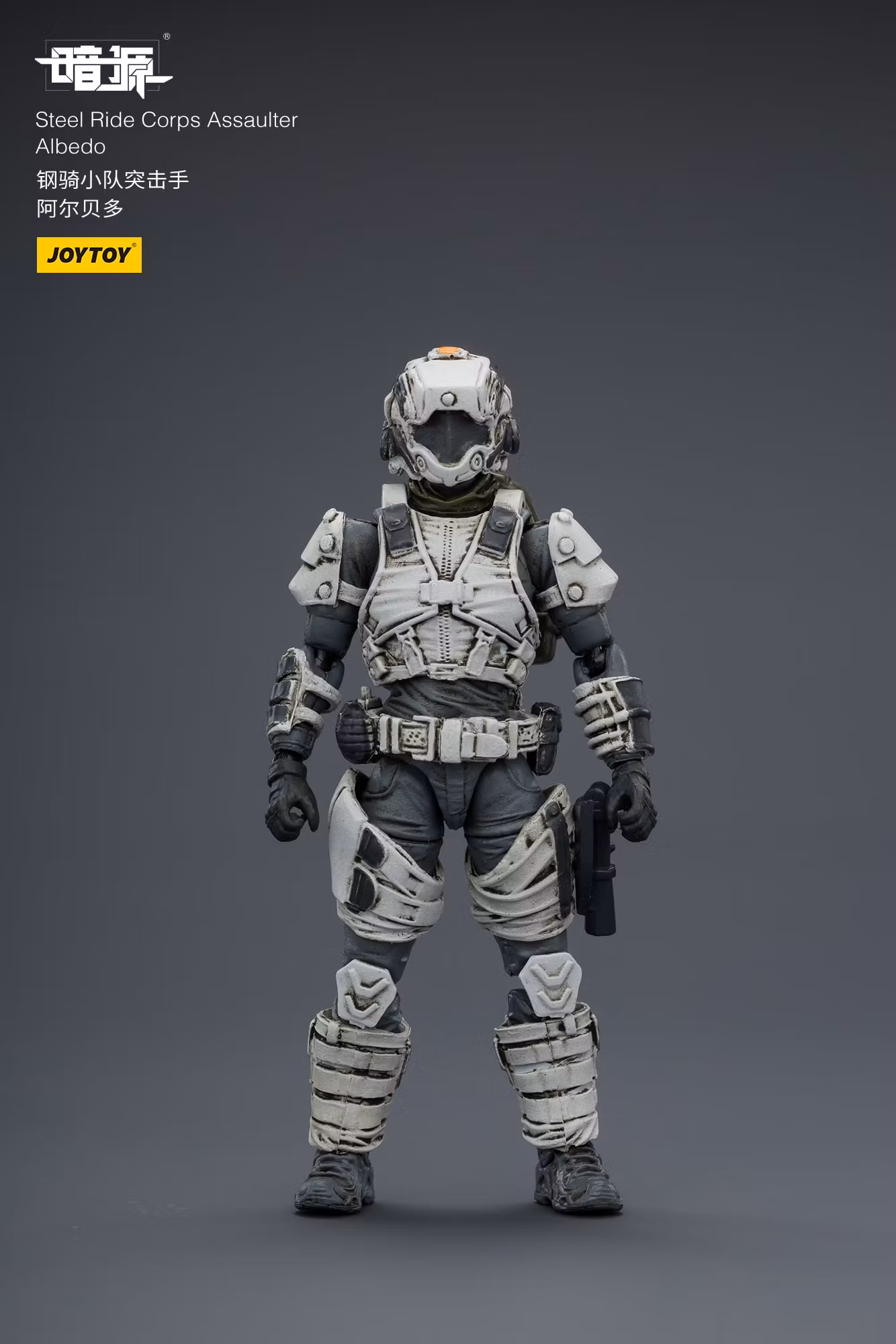 Dark Source APOC Steel Ride Corps Assaulter Albedo 1/25 Scale Action Figure