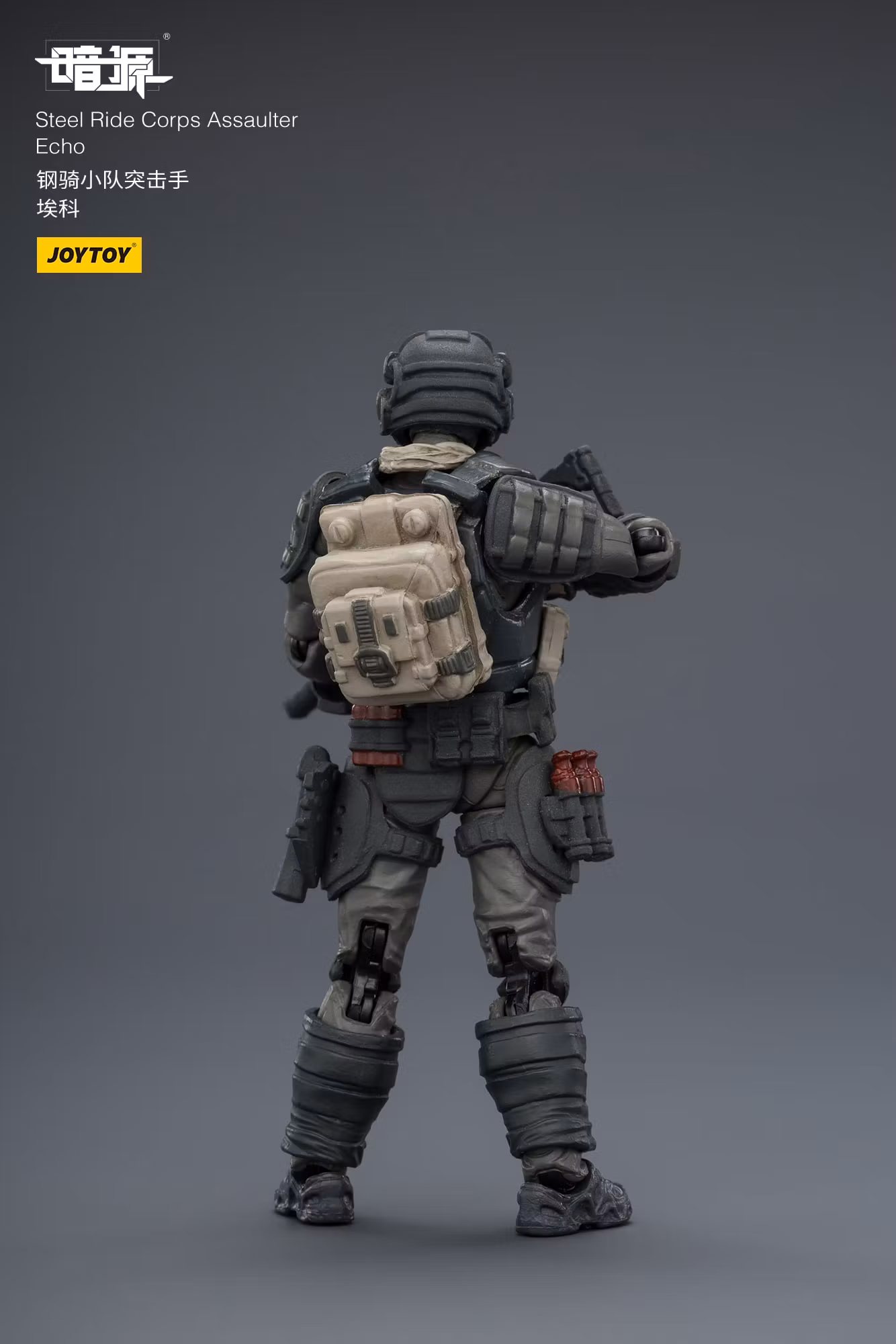 Dark Source APOC Steel Ride Corps Assaulter Echo 1/25 Scale Action Figure