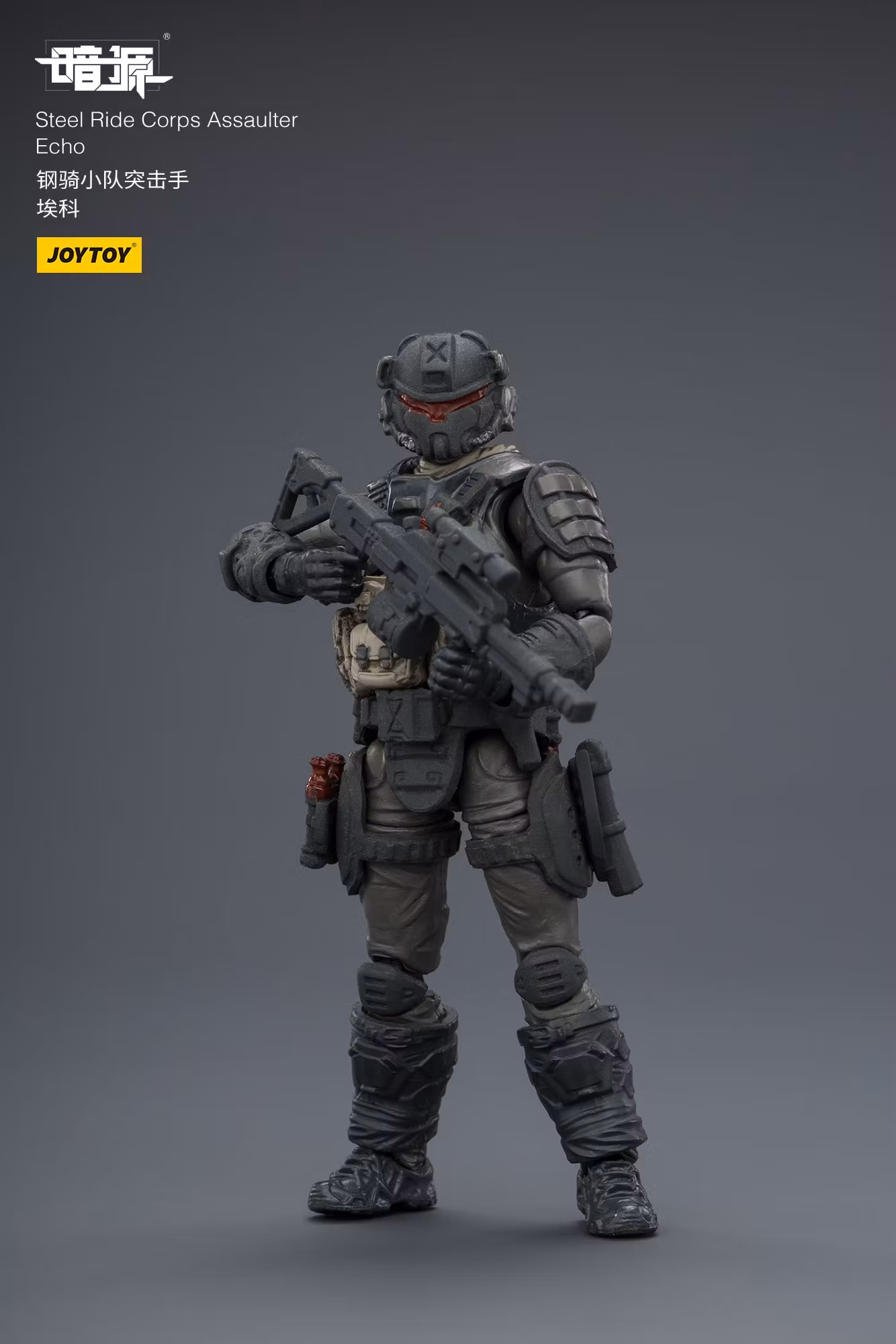 Dark Source APOC Steel Ride Corps Assaulter Echo 1/25 Scale Action Figure
