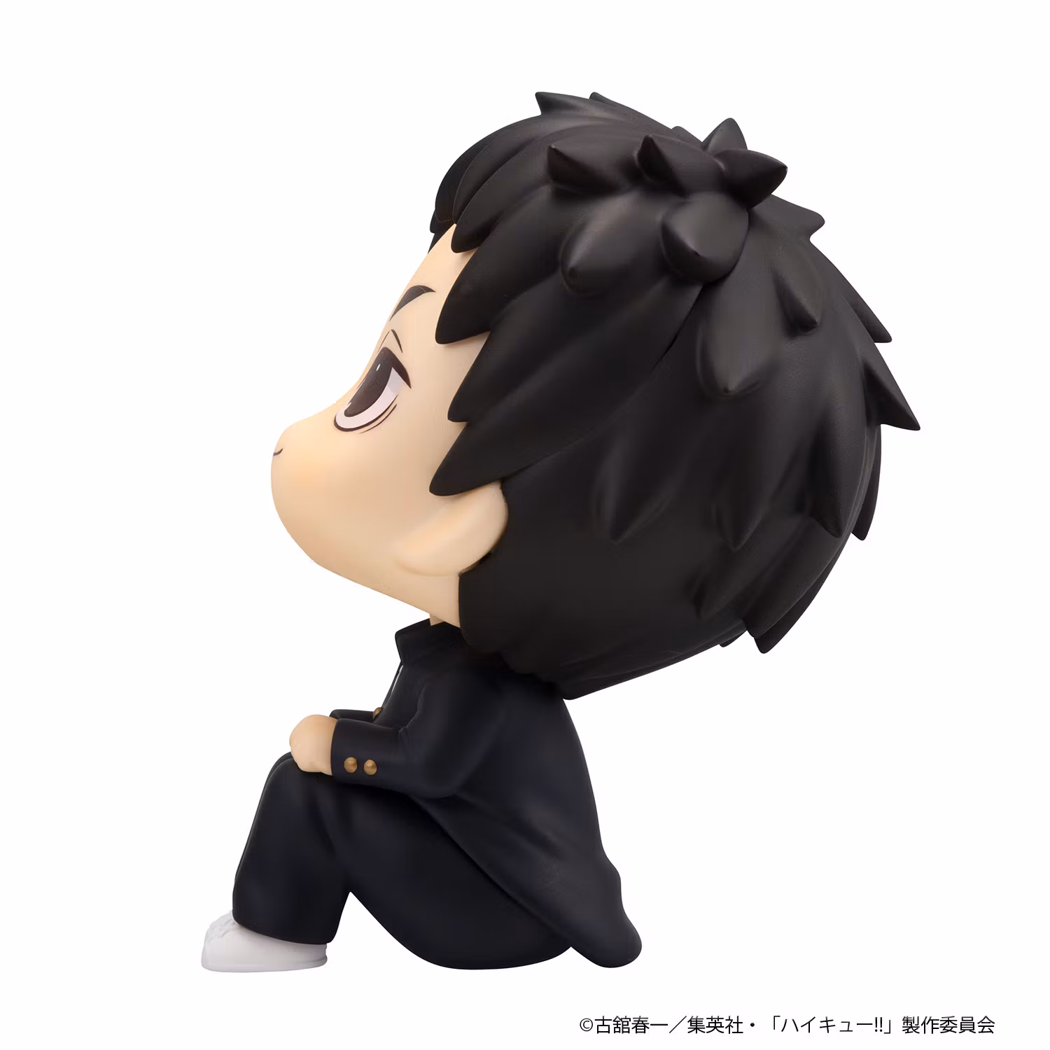 Haikyu!! Look Up Series Daichi Sawamura