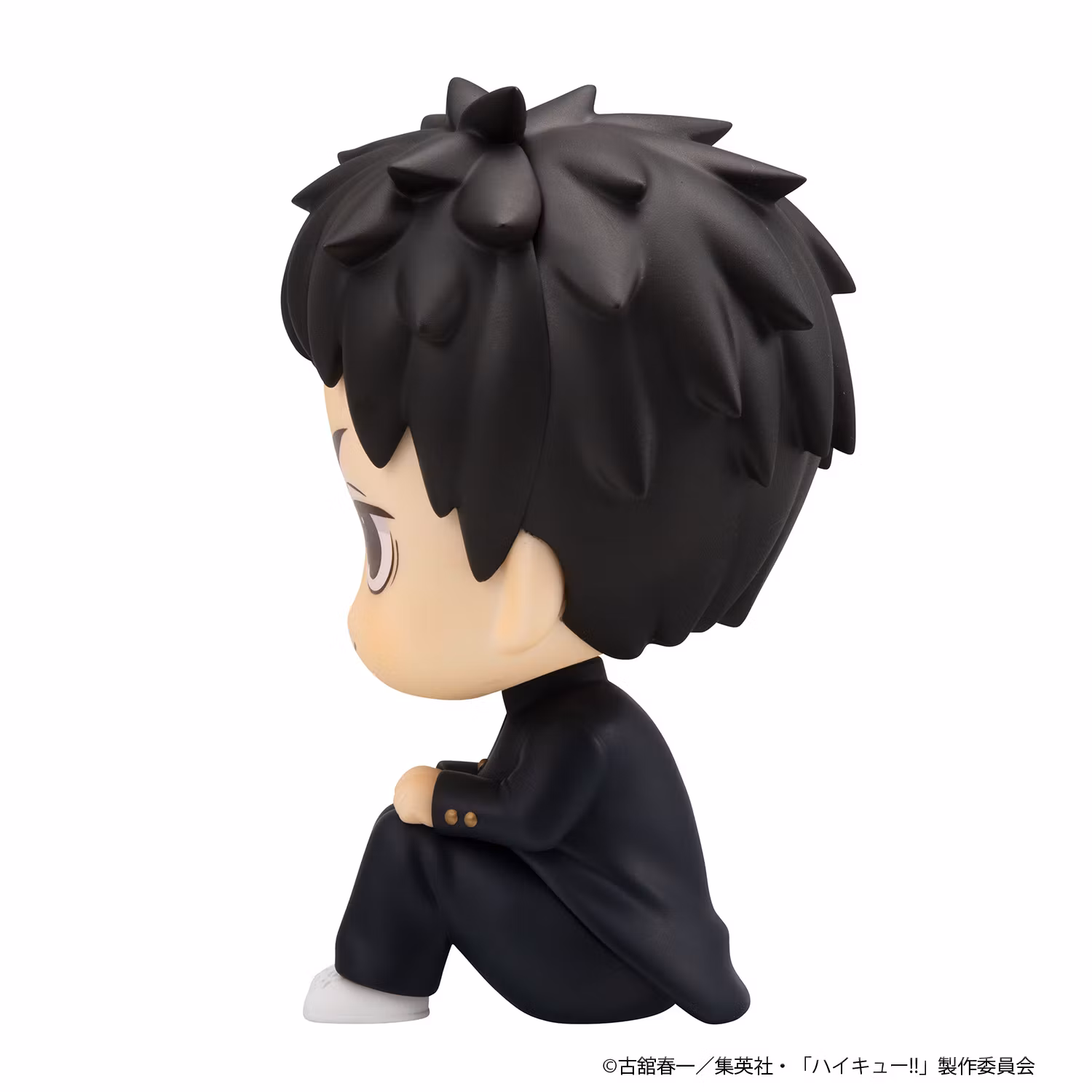 Haikyu!! Look Up Series Daichi Sawamura