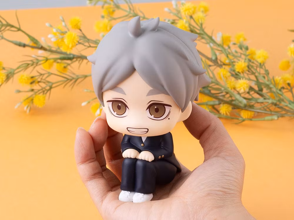 Haikyu!! Look Up Series Koushi Sugawara