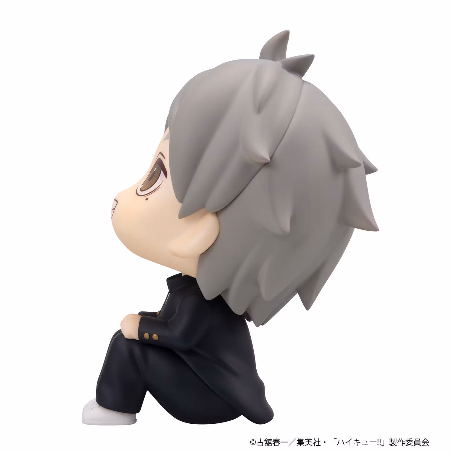 Haikyu!! Look Up Series Koushi Sugawara