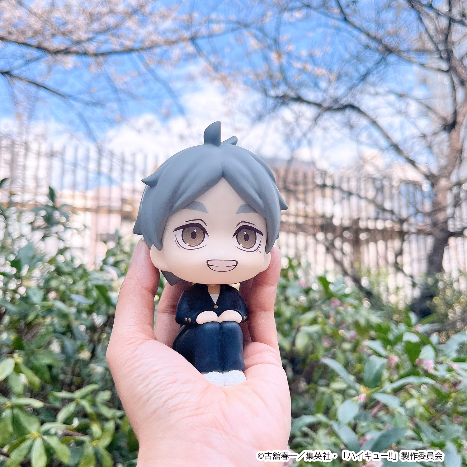 Haikyu!! Look Up Series Koushi Sugawara