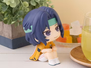 The New Prince of Tennis Look Up Series Seiichi Yukimura
