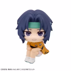 The New Prince of Tennis Look Up Series Seiichi Yukimura