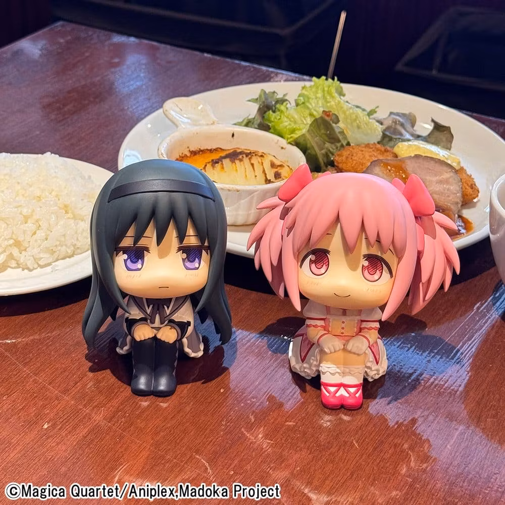 Puella Magi Madoka Magica Look Up Series Madoka Kaname
