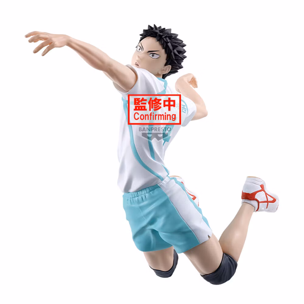 Haikyu!! Posing Figure Hajime Iwaizumi