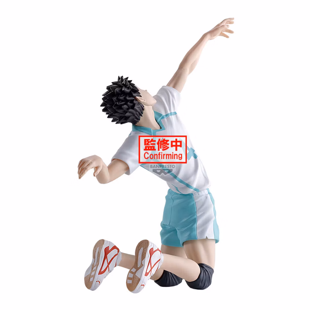 Haikyu!! Posing Figure Hajime Iwaizumi