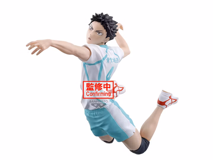 Haikyu!! Posing Figure Hajime Iwaizumi