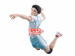 Haikyu!! Posing Figure Hajime Iwaizumi