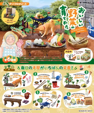 Vegetable Harvesting Set of 6 Accessory Sets