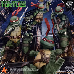 Teenage Mutant Ninja Turtles (Comics) One:12 Collective Deluxe Boxed Set