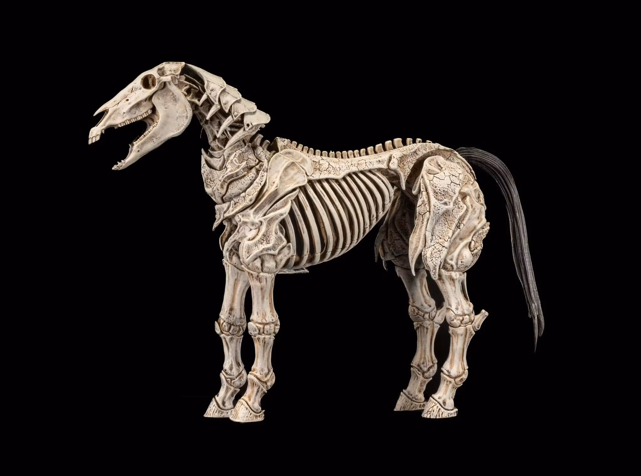 Mythic Legions Skeleton Steed Legion Builder Action Figure