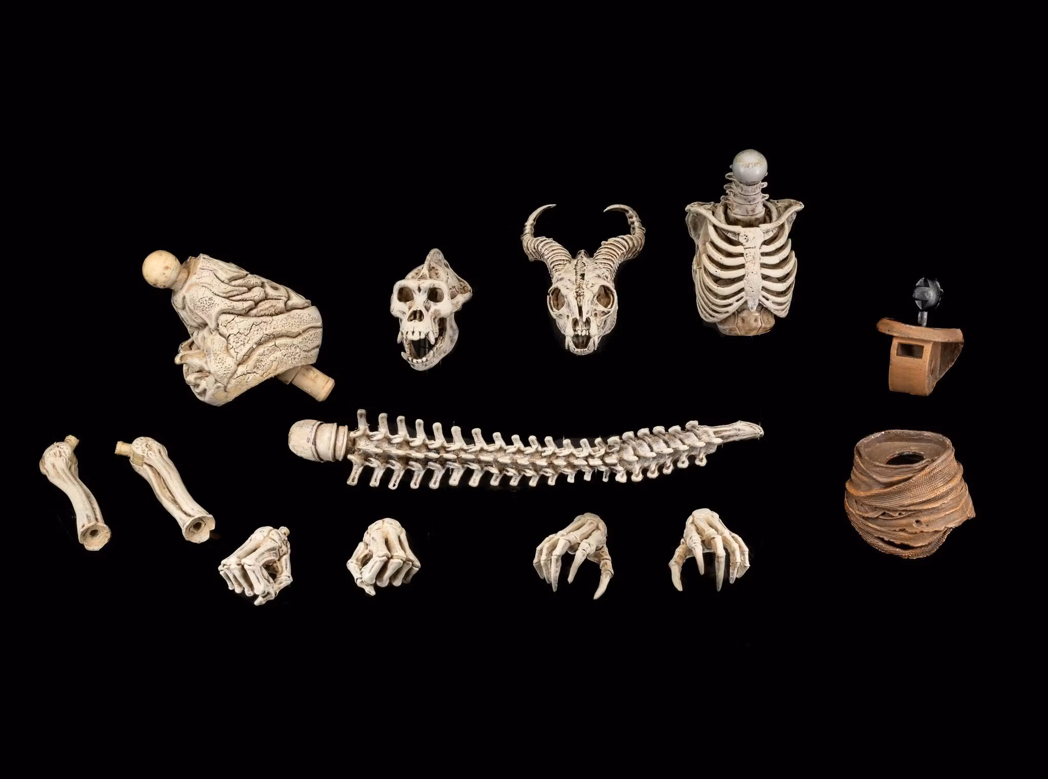 Mythic Legions Skeleton Soldiers Add-On Accessory Set