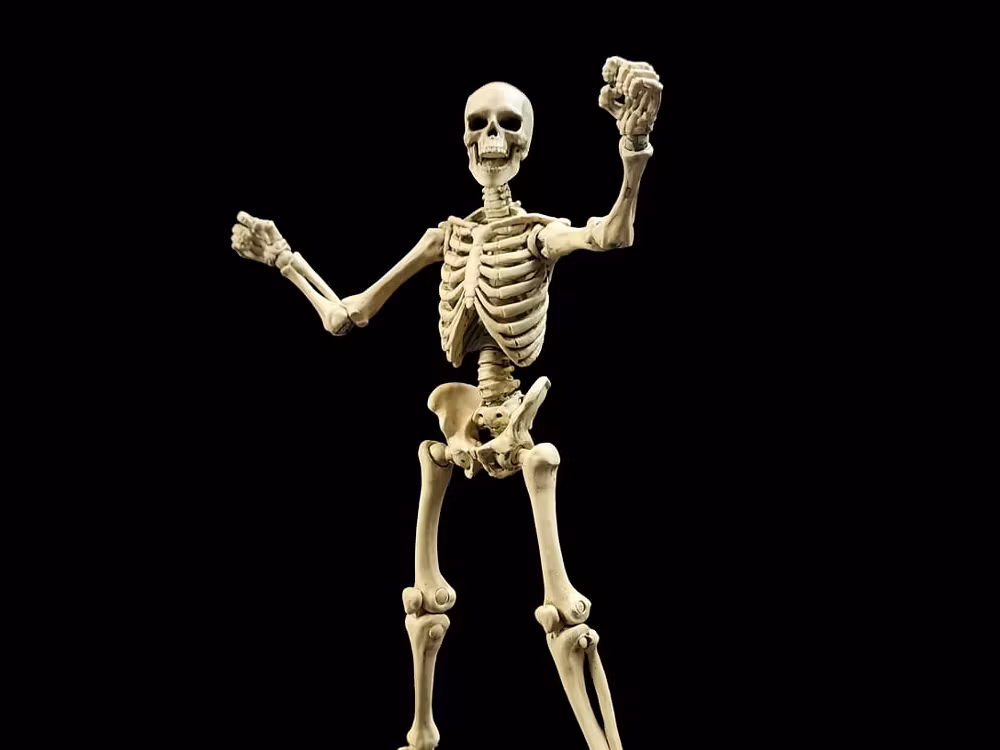 Epic H.A.C.K.S. Skeleton Blank (Classic Bone) 1/12 Scale Action Figure