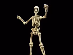 Epic H.A.C.K.S. Skeleton Blank (Classic Bone) 1/12 Scale Action Figure
