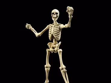 Epic H.A.C.K.S. Skeleton Blank (Classic Bone) 1/12 Scale Action Figure