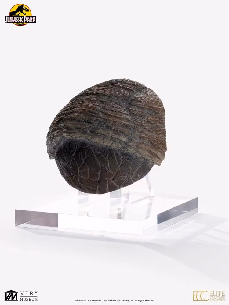 Jurassic Park 1/1 Replica Triceratops Toenail
