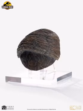 Jurassic Park 1/1 Replica Triceratops Toenail