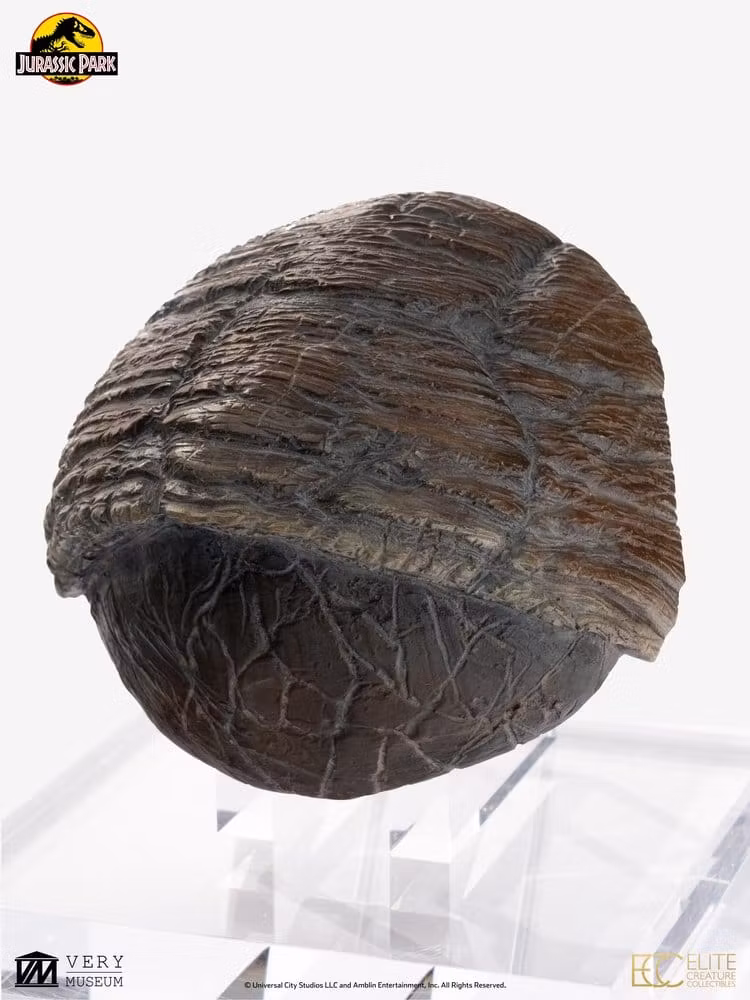 Jurassic Park 1/1 Replica Triceratops Toenail