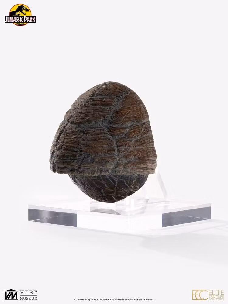 Jurassic Park 1/1 Replica Triceratops Toenail