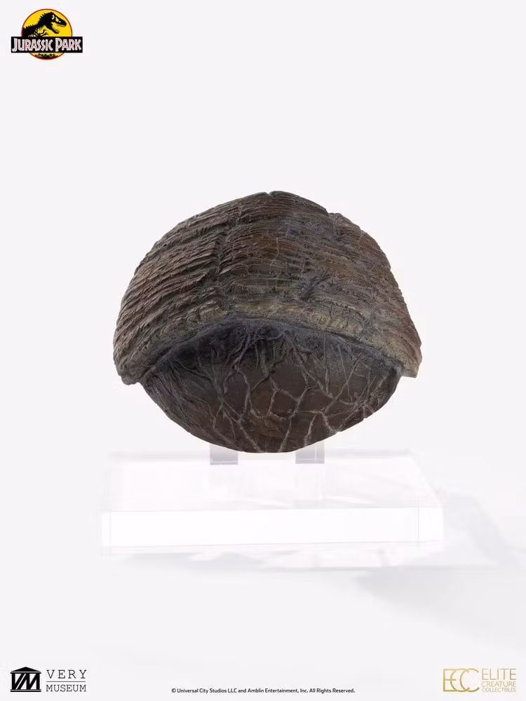 Jurassic Park 1/1 Replica Triceratops Toenail
