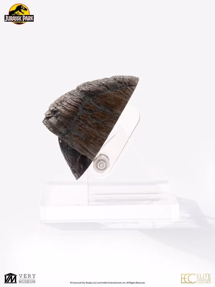 Jurassic Park 1/1 Replica Triceratops Toenail