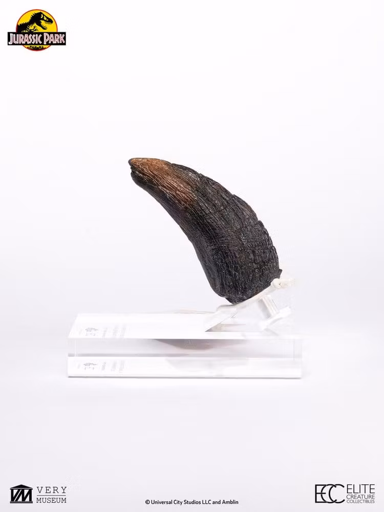 Jurassic Park 1/1 Replica Velociraptor Toenail Type A