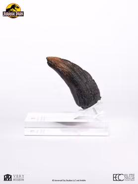 Jurassic Park 1/1 Replica Velociraptor Toenail Type A