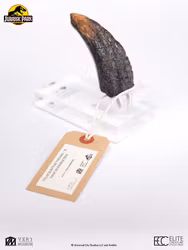 Jurassic Park 1/1 Replica Velociraptor Toenail Type A
