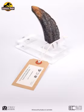 Jurassic Park 1/1 Replica Velociraptor Toenail Type A