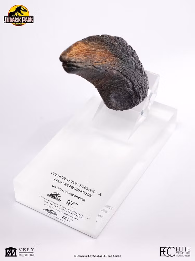 Jurassic Park 1/1 Replica Velociraptor Toenail Type A