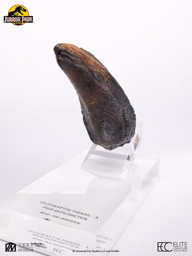 Jurassic Park 1/1 Replica Velociraptor Toenail Type A
