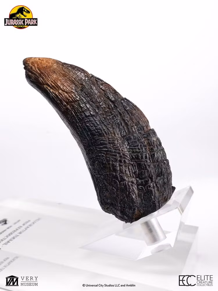 Jurassic Park 1/1 Replica Velociraptor Toenail Type A