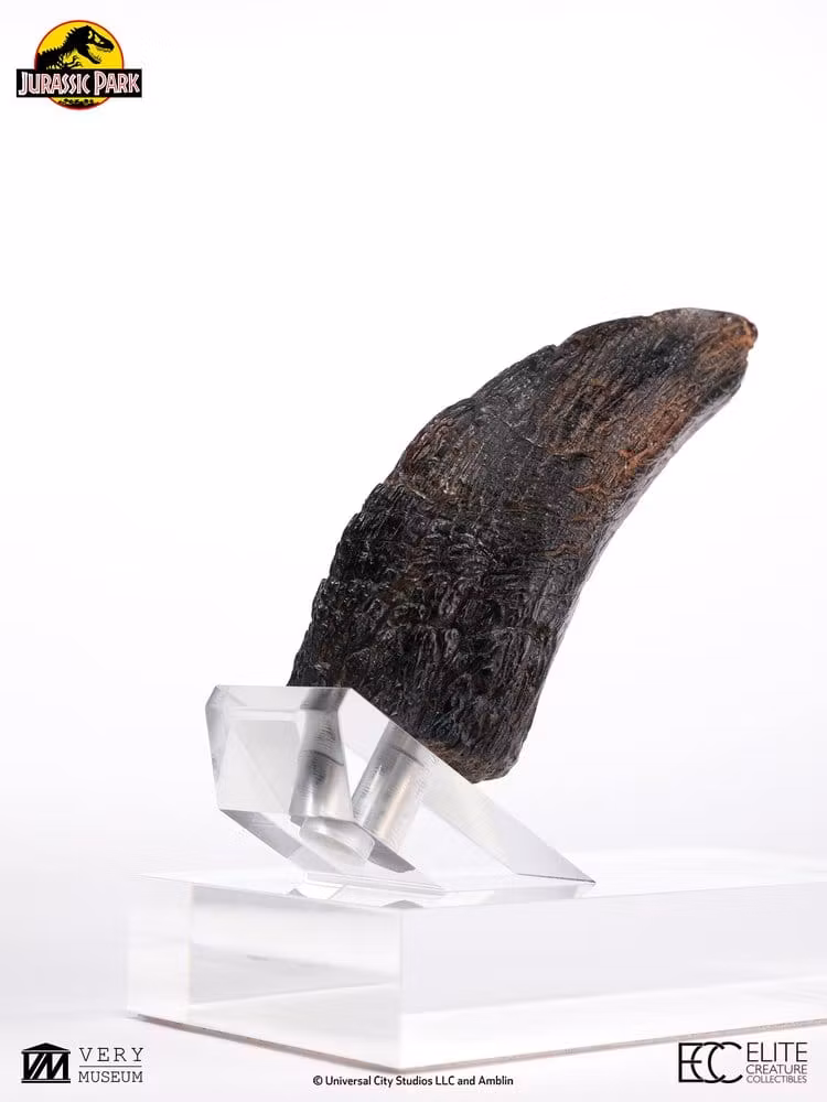 Jurassic Park 1/1 Replica Velociraptor Toenail Type A